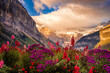 Flowers garden at Lake Louise at Canada's Banff National Park