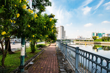 Sticker - Saigon River 