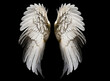 Leinwanddruck Bild - Angel wings