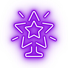 Poinsettia Purple Stars Free Stock Photo Public Domain Pictures
