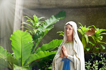 Close-up of Statue of Our lady of grace virgin Mary located in the church, Thailand. selective focus.