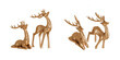 Gold deer decoration for christmas white background