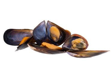 Poster - mussels isolated