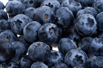 Wall Mural - blueberries isolated