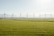 © Westend61 - Wind turbines on field at power station