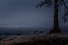 An Early Morning, When The Temperature Has Dropped To Minus 10 Degrees And The Fog Is Drifting Over The Water