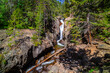 Chasm Falls Rushes Into Canyon Below, Rocky Mountain National Park, Colorado