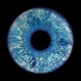Fototapeta Sypialnia - Blue eye iris - human eye