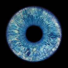 Blue Eye Iris - Human Eye