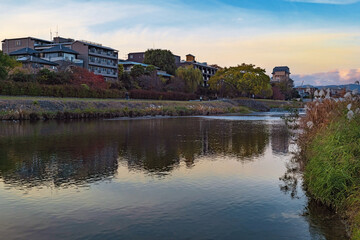 Canvas Print - 京都 夕暮れの鴨川