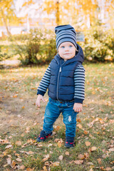 Wall Mural - A cute little boy with a bucket and a spatula stands on a green lawn among the yellow fallen autumn leaves.