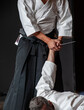 © Federico Magonio - Disarm a knife armed opponent. Senior black belt aikido masters during a training session..