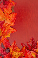 Wall Mural - Fall leaves on wood autumn background