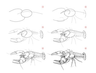 Wall Mural - page shows how to learn to draw sketch of crayfish. creation step by step pencil drawing. educationa