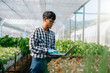 Farmer man using hand holding laptop and organic vegetables hydroponic in greenhouse plantation. Female hydroponic salad vegetable garden owner working. Smart farming .