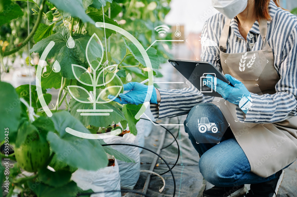 Smart farmer using application by tablet concepts modern agricultural ...