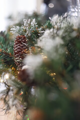 Canvas Print - Christmas blurred background with pine branch and beautiful colored shiny bokeh. Pine cone. Subject is out of focus. The artistic intend and the filters. Copy space.