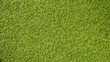 Bright green grass background. Grass texture. Artificial grass. Daylighting. 