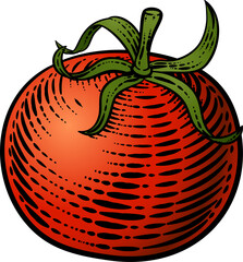 Sticker - Tomato Vegetable Vintage Woodcut Illustration