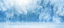 Branch Of A Pine Tree Under The Snow. Winter Background Banner. Cold Weather. Winter Day And Snowfall. Snowdrifts