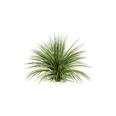 3d illustration of grass bush isolated on transparent background