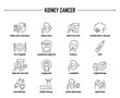 © missbobbit - Kidney Cancer symptoms, diagnostic and treatment vector icon set. Line editable medical icons.