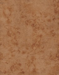 Wall Mural - Abstract beige brown texture. Paint stained rough surface. 