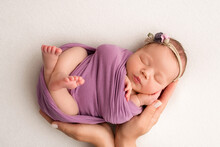 Sleeping Newborn Girl In The First Days Of Life On A White Background. A Newborn Baby In A Purple Lilac Winding And A Headband. Hand, Palms Of Father And Mother, Parents Hold The Child.