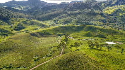 Poster - View of range hills and village