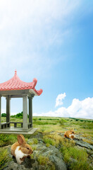 Poster - Chinese gazebo building and rabbits in the park