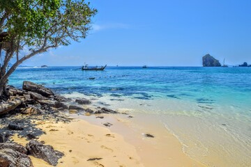 Wall Mural - Turquoise clear water in Krabi Beach, Thailand