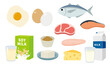 たんぱく質を含む食べ物のイラストセット_High protein food