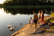 Family Looking At Swan Family Swimming In Lake During Sunset