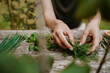 © Maskot - Midsection of woman arranging dill leaves by herbs on wooden board
