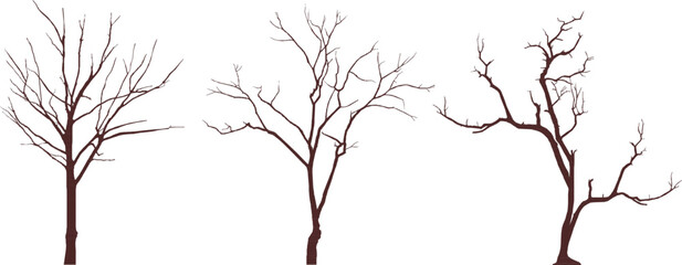 Wall Mural - tree silhouette vector