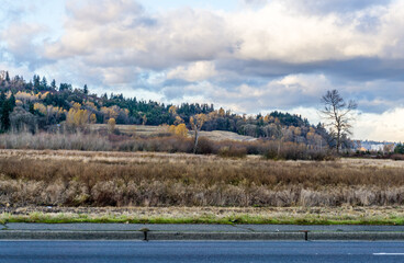 Wall Mural - Kent Washington Autumn 7