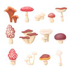 Poster - Cartoon Different Mushrooms Icons Set Concept Flat Design Style Include of Amanita and Chanterelle. Vector illustration of Mushroom Icon