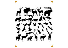 Animals Shapes Silhouette
