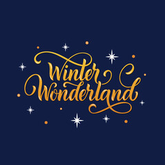 Wall Mural - Winter Wonderland handwritten text with stars and snowflakes. Hand lettering typography. Modern brush ink calligraphy. Vector illustration as greeting card, banner, poster, logo. Season's greeting
