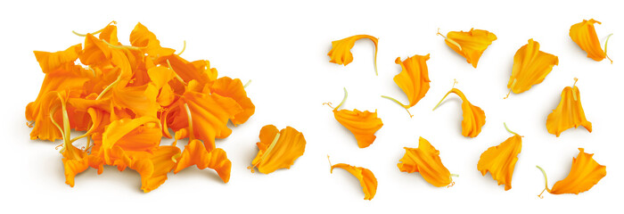 Poster - petals of fresh marigold or tagetes erecta flower isolated on white background with full depth of field