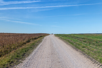 Wall Mural - A country road without asphalt or gravel