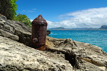 Old Cannon In Paradise