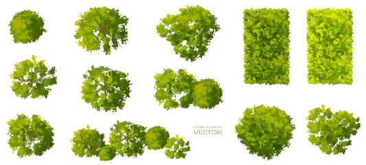 Wall Mural - vector set of tropical green tree top view isolated on white background for landscape plan and archi