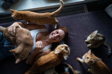 Wall Mural - Top view of a lying caucasian woman with cats in a cat cafe.