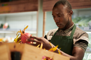 Wall Mural - Store Worker Checking Dragon Fruits