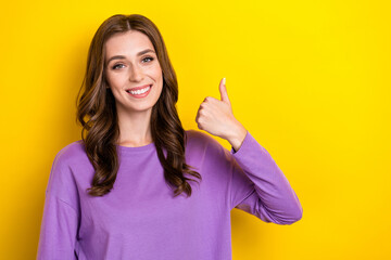 Sticker - Portrait of positive pretty person beaming smile arm finger demonstrate thumb up isolated on yellow color background