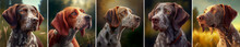 Panorama Portrait Of Hunting Dog Breeds , Generative Ai Illustration Header	