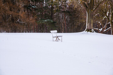 Sticker - white bench in winter forest