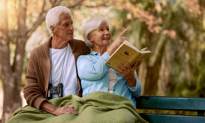 Canvas Print - Book, search or old couple bird watching in nature for calm, relaxing or peaceful quality bonding time in New York. Love, elderly or senior woman pointing in a park with a happy old man in retirement