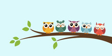 Five Cute Colorful Vector Owls Are Sitting In A Row On A Tree Branch.  Wall Decor,  Wall Art Sticker, Banner, Home Decoration